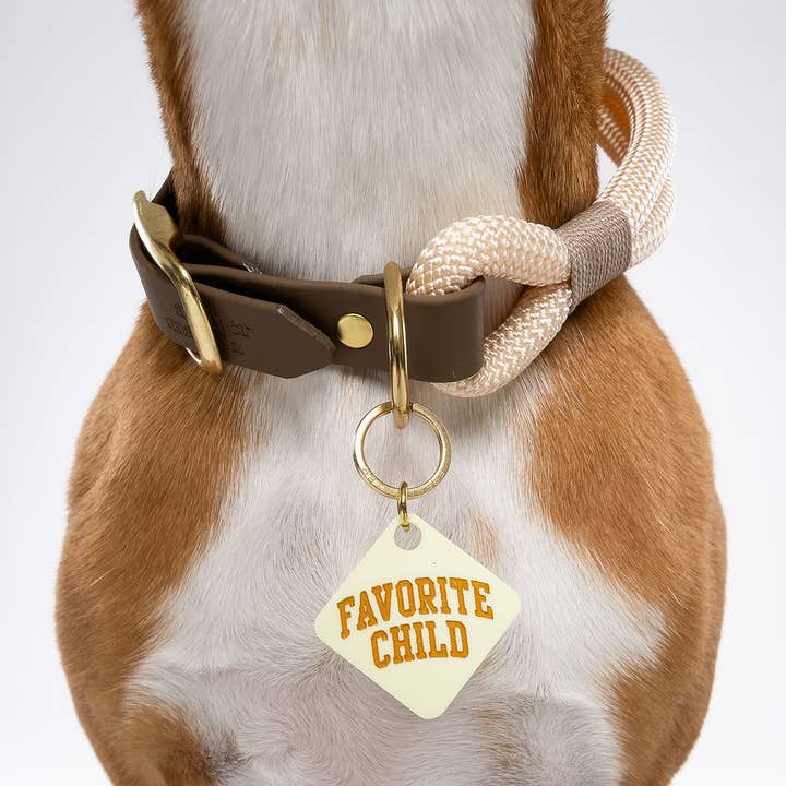 Freshwater Curated Goods - Wholesale Pet Identification Tag - Cat/Dog - Favorite Child Pet Tag1