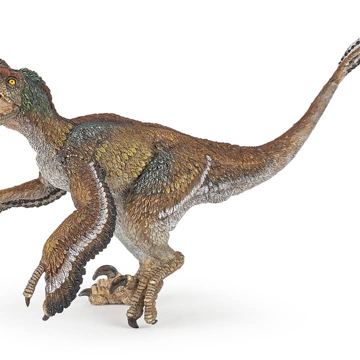 Papo - Wholesale Figurine Toy - Kids - Feathered Velociraptor - Powerful Jaw with Sharp Teeth