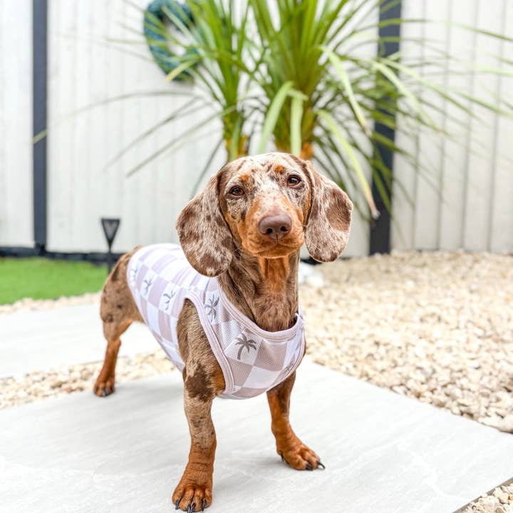 The Paw Print Boutique - Wholesale Pet Vest - Dog - The Palm Springs Cooling Vest3