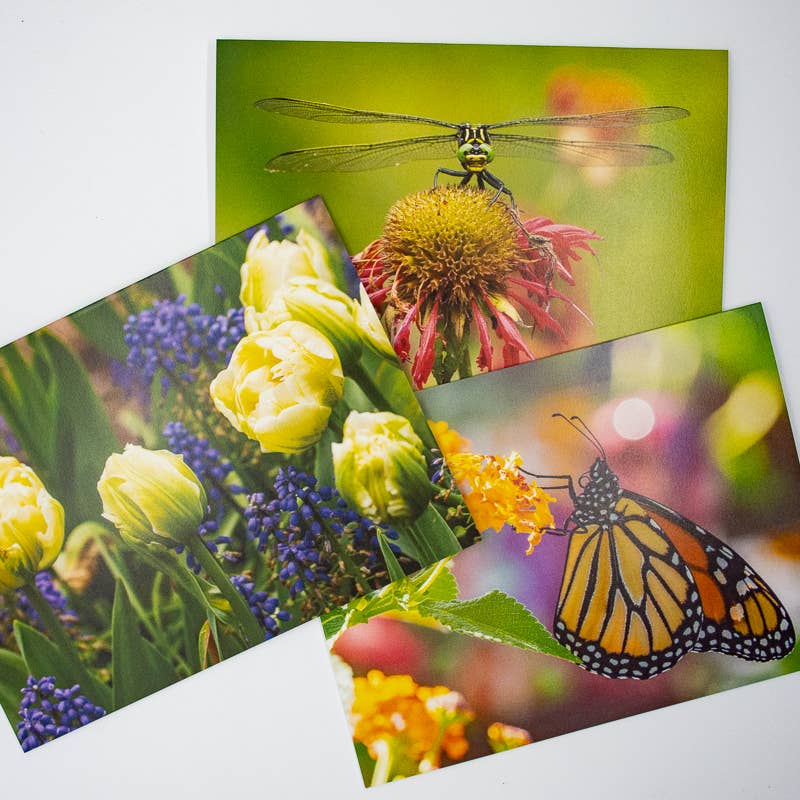 Wren - Wholesale Everyday Greeting Card - Monarch on Lantana (Blank inside) Greeting Card4