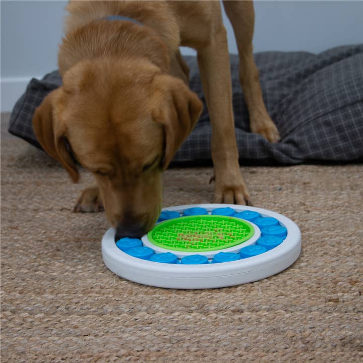 Ancol Pet Products Ltd – wholesale Leksak - Hund – ÖRVA Pusselring