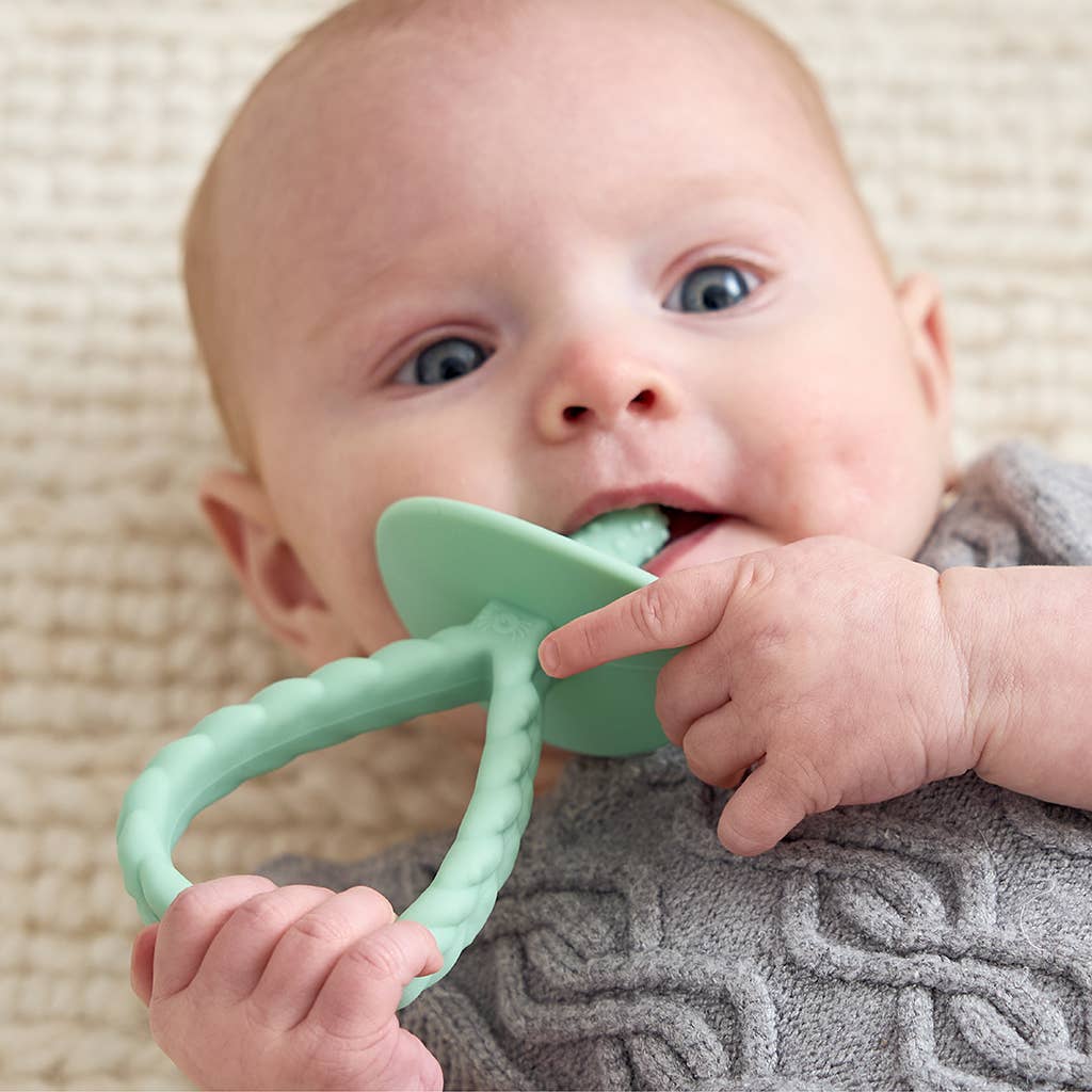 Itzy Ritzy - Wholesale Teether (Not Clip-On) - Baby - Itzy Pre-Feeding Teether Set™4