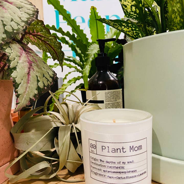 Moeder planten voor wholesale door Flores Lane