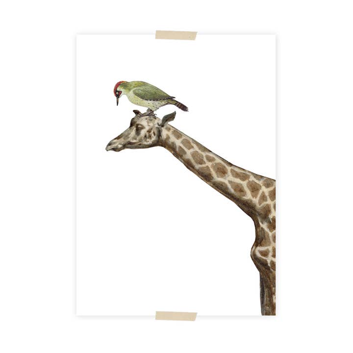 Postcard collage Zaans Museum - Giraf en specht voor wholesale door Lylies