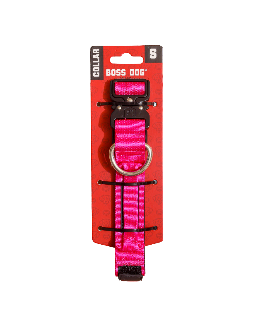 BOSS DOG BRAND, INC. - Wholesale Pet Collar - Dog - Boss Dog Collar59