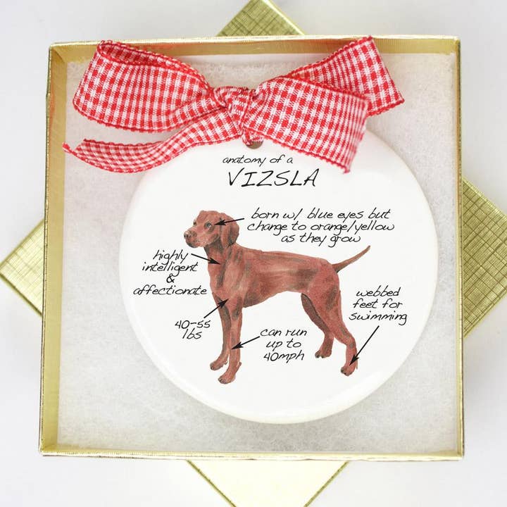 Dishique - Wholesale Ornament - Dog Breed Anatomy Ornament - Vizsla