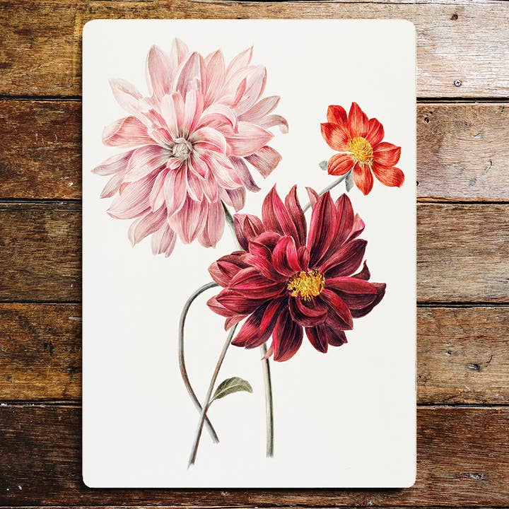 Wild flowers' dahlia lifestyle Metal Sign Plaque for wholesale by The British Metal Signs Company