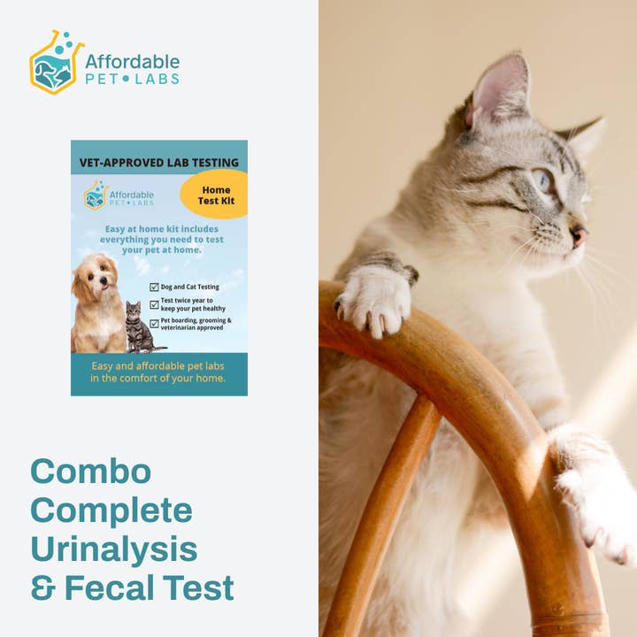 Kit Easy Home : Pet Labs combine une analyse d'urine complète et un test fécal pour chats à un prix abordable pour la vente par Affordable Pet Labs
