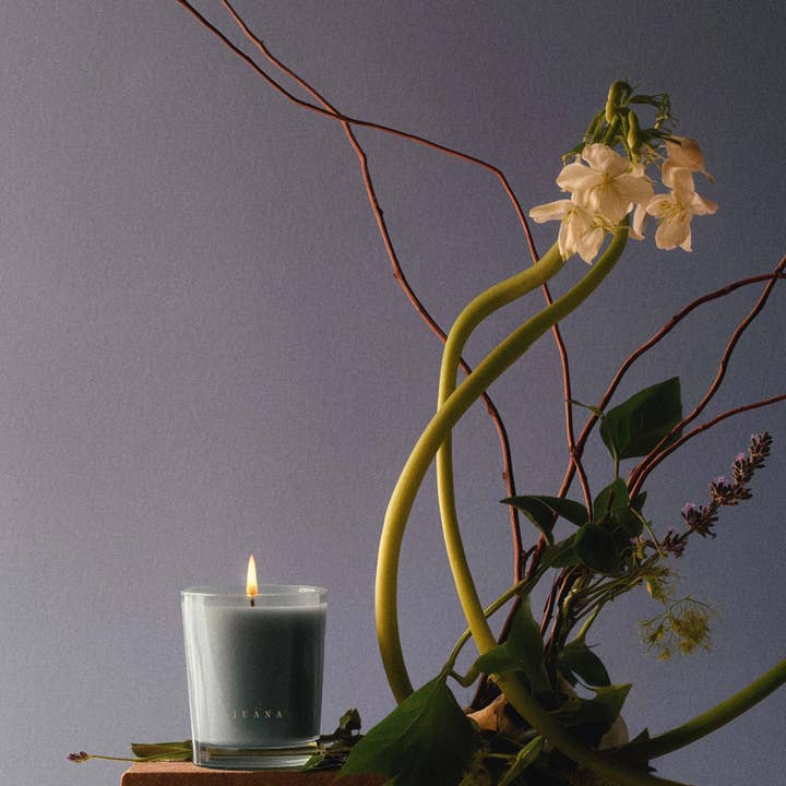 Juana - Wholesale Jar/Filled Candle - Cassis + Rosemary for Focus2