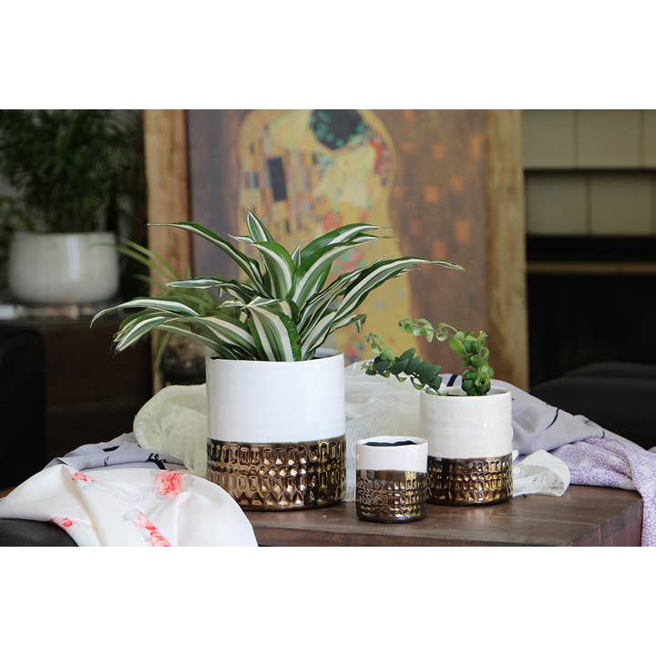Pacific Home & Garden - Wholesale Plant Pot - Jewel cache pot, ivory white