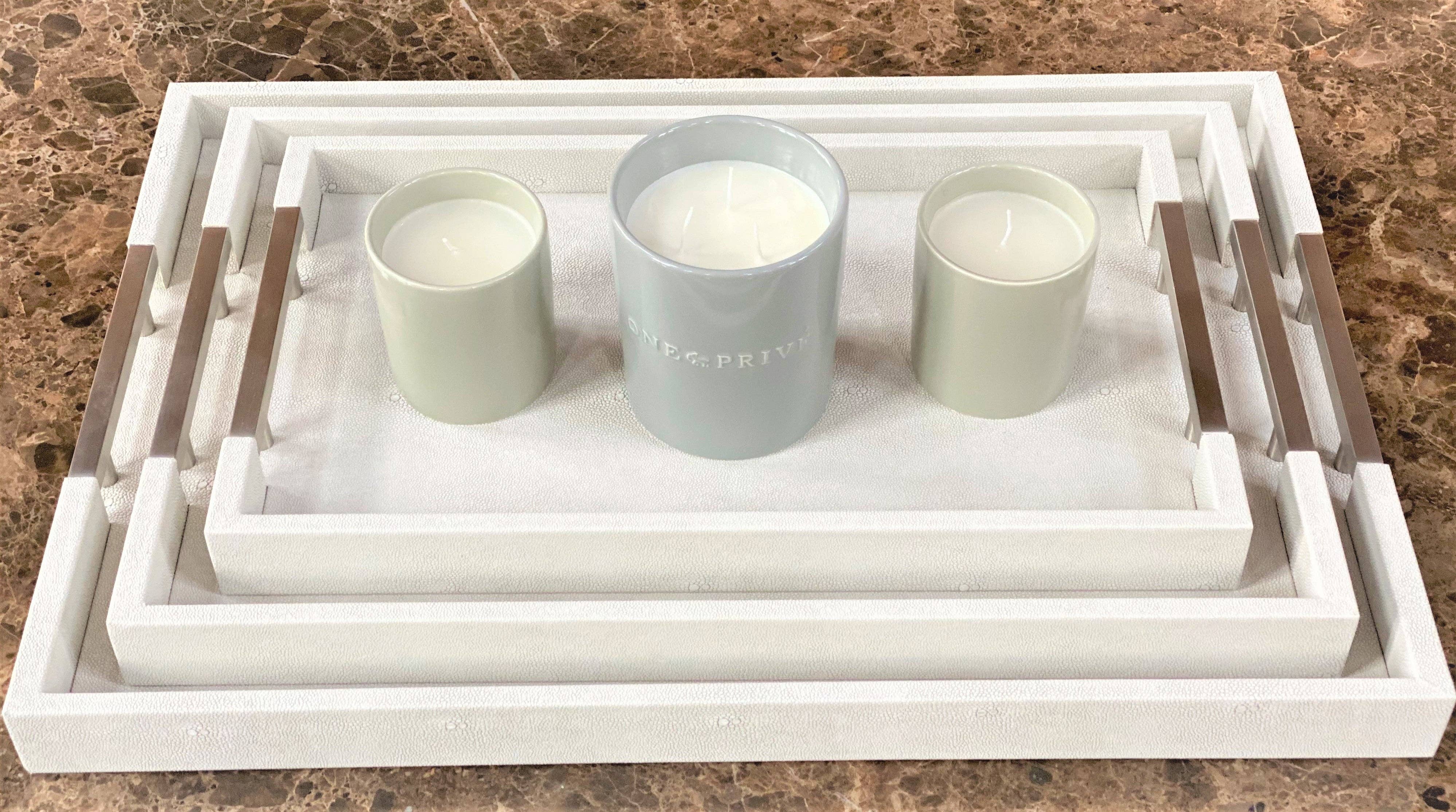 One Preevay Luxury Home Furniture & Decor - Wholesale Serving Tray - Thursby Luxury Shagreen Serving Tray | Exotic Embossed Leather | Nickel Handwear22