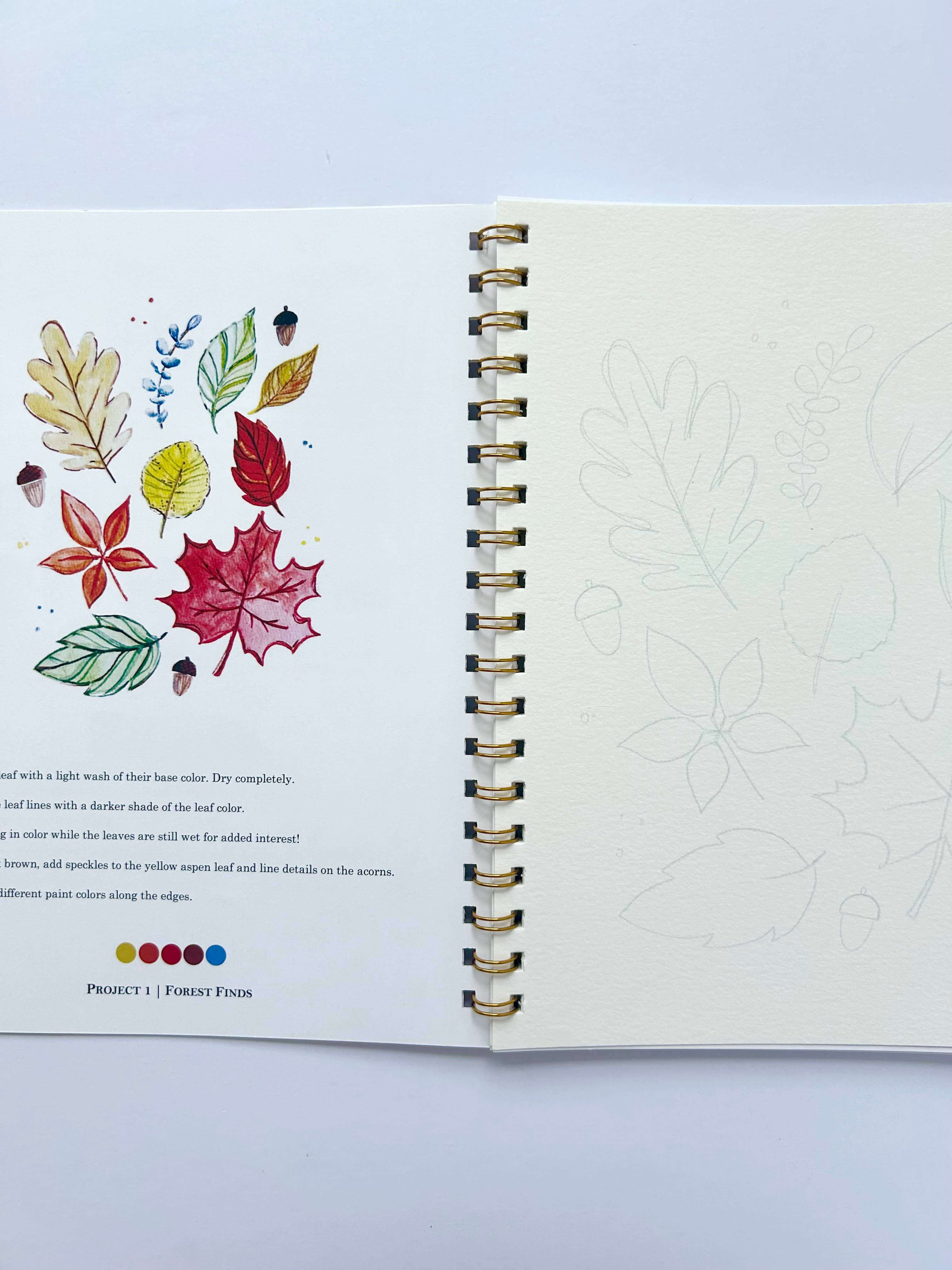 Paint & Pigment Studios - Wholesale Sketchbook/Sketchpad - Autumn Watercolor Workbook 5