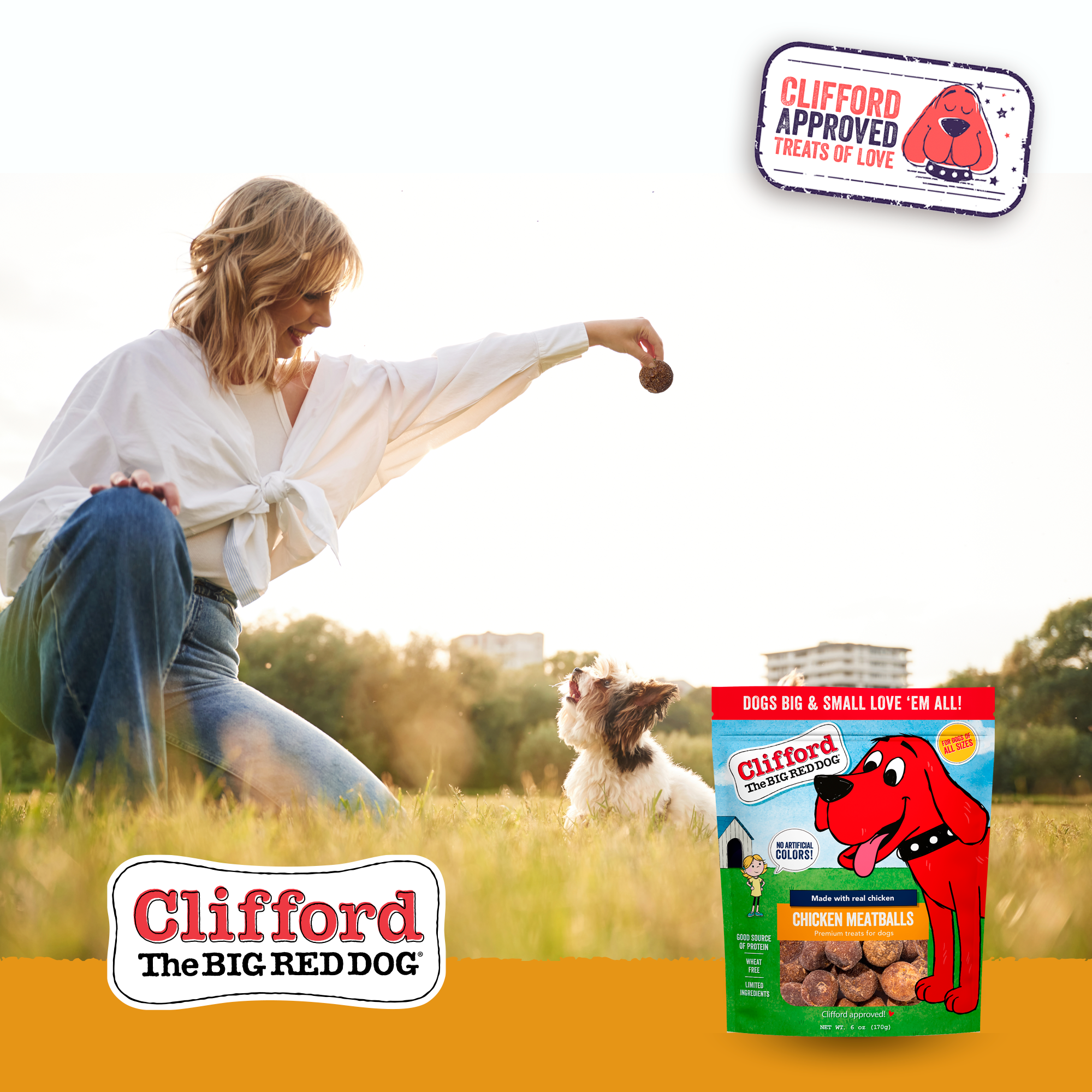 J&C PET SUPPLY LLC - Wholesale Pet Treats - Dog - Clifford The Big Red Dog Chicken Meatballs 6 oz Dog Chews6