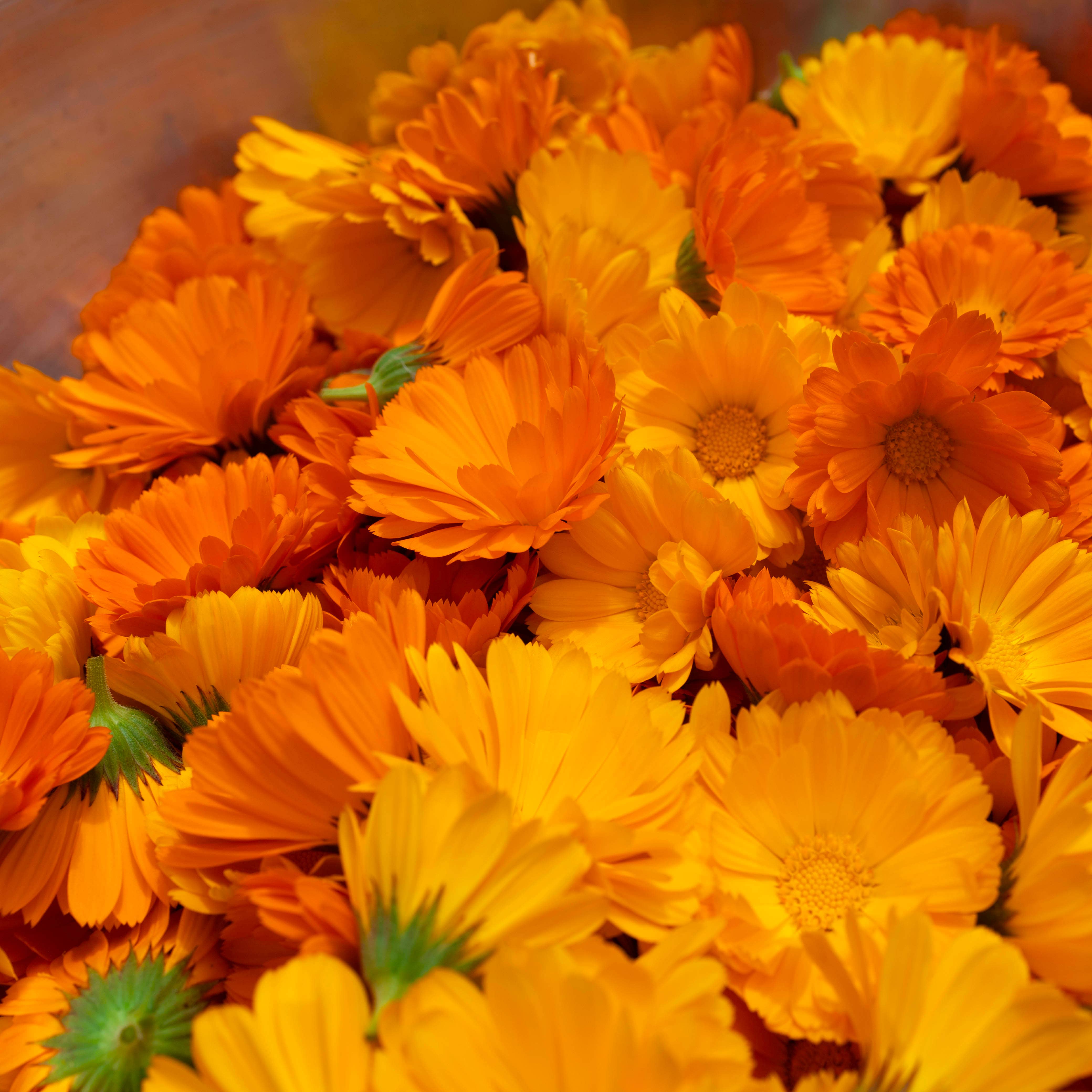 Five Finger Farms - Vendita all'ingrosso Topper per torte/cupcake - Fiori commestibili - Decorazione con fiori secchi veri e naturali16