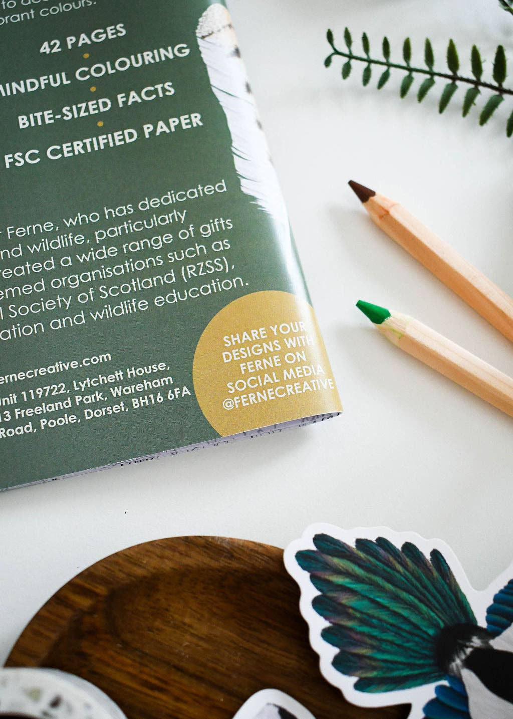 Ferne Creative - Wholesale Coloring & Activity Book - Adult - British Bird of Prey Educational Colouring Book8