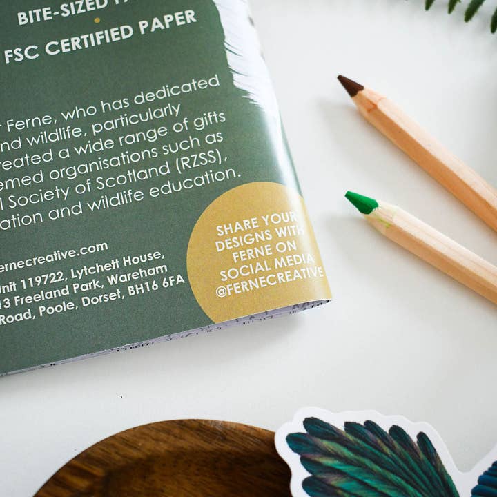 Ferne Creative - Wholesale Coloring & Activity Book - Adult - British Bird of Prey Educational Colouring Book8