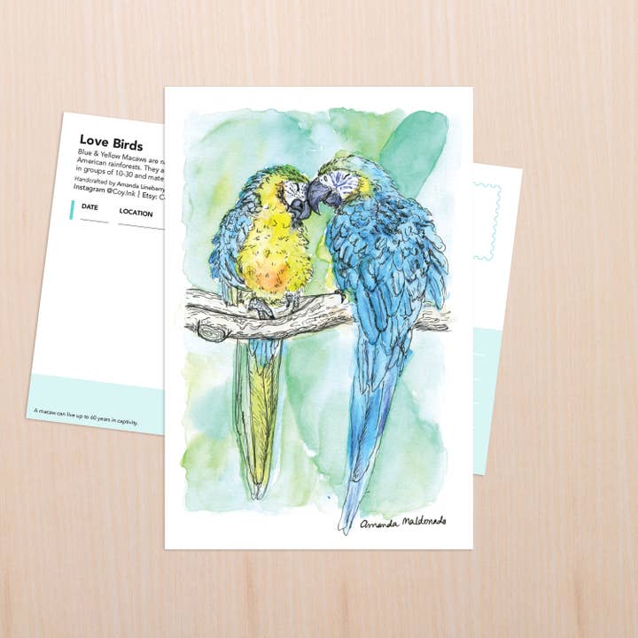 Araer elsker fuglekunst for engroshandel hos Coy Ink Studio