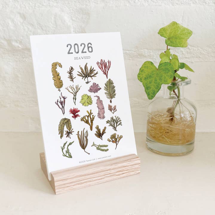 Yeesan Loh - Wholesale Calendar - 2026 Calendars: Seaweed8