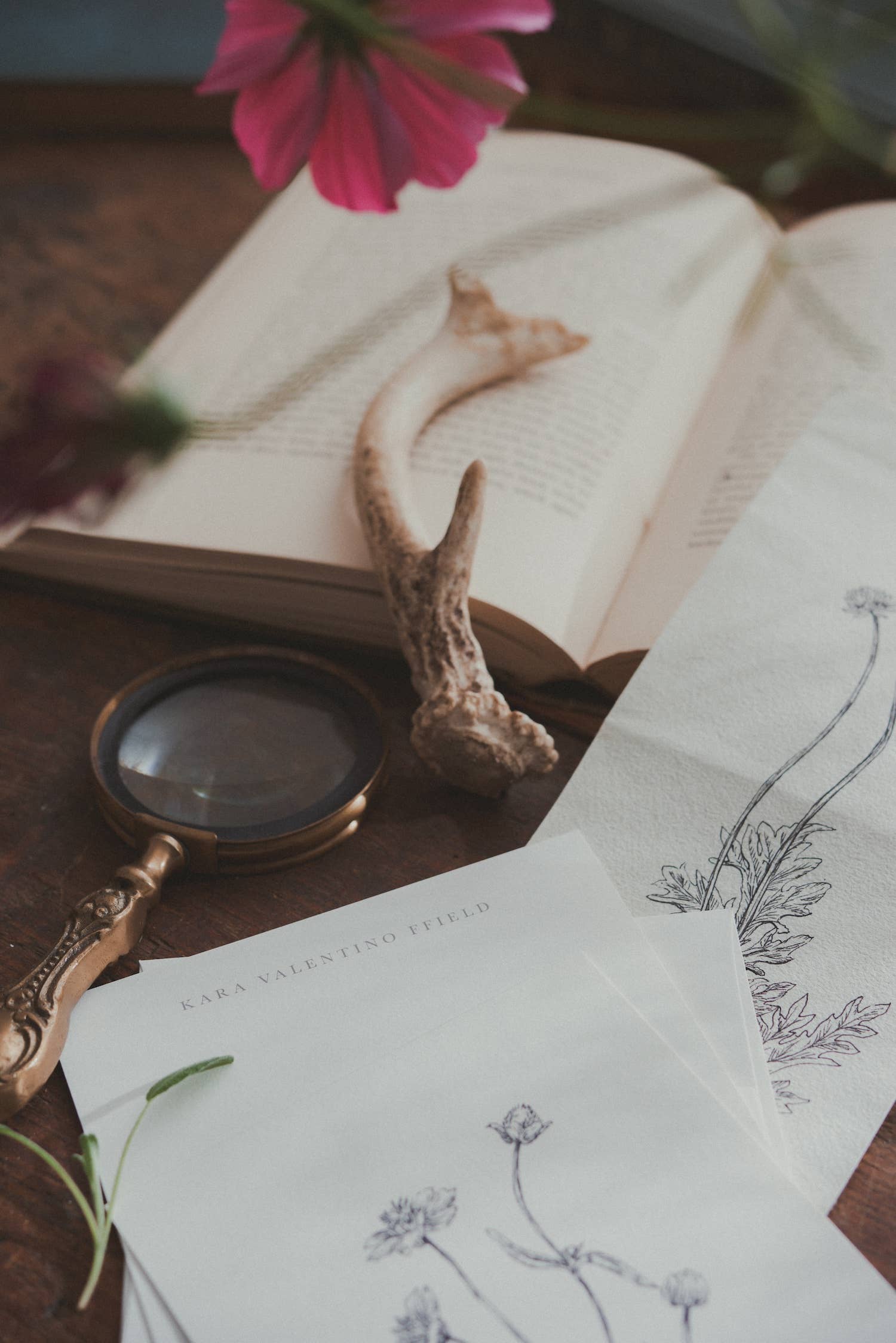 Kara Valentino Ffield Art - Wholesale Art Print - Daisy |  Art Print 2