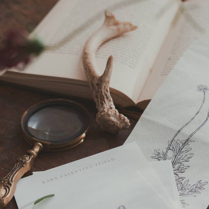 Kara Valentino Ffield Art - Wholesale Art Print - Daisy | Art Print 2