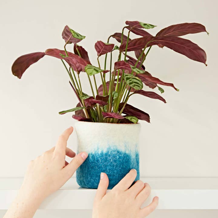 The Paper High Gift Company Limited - Wholesale Plant Pot - Handmade Felt Turquoise Ombre Plant Pot Cover1