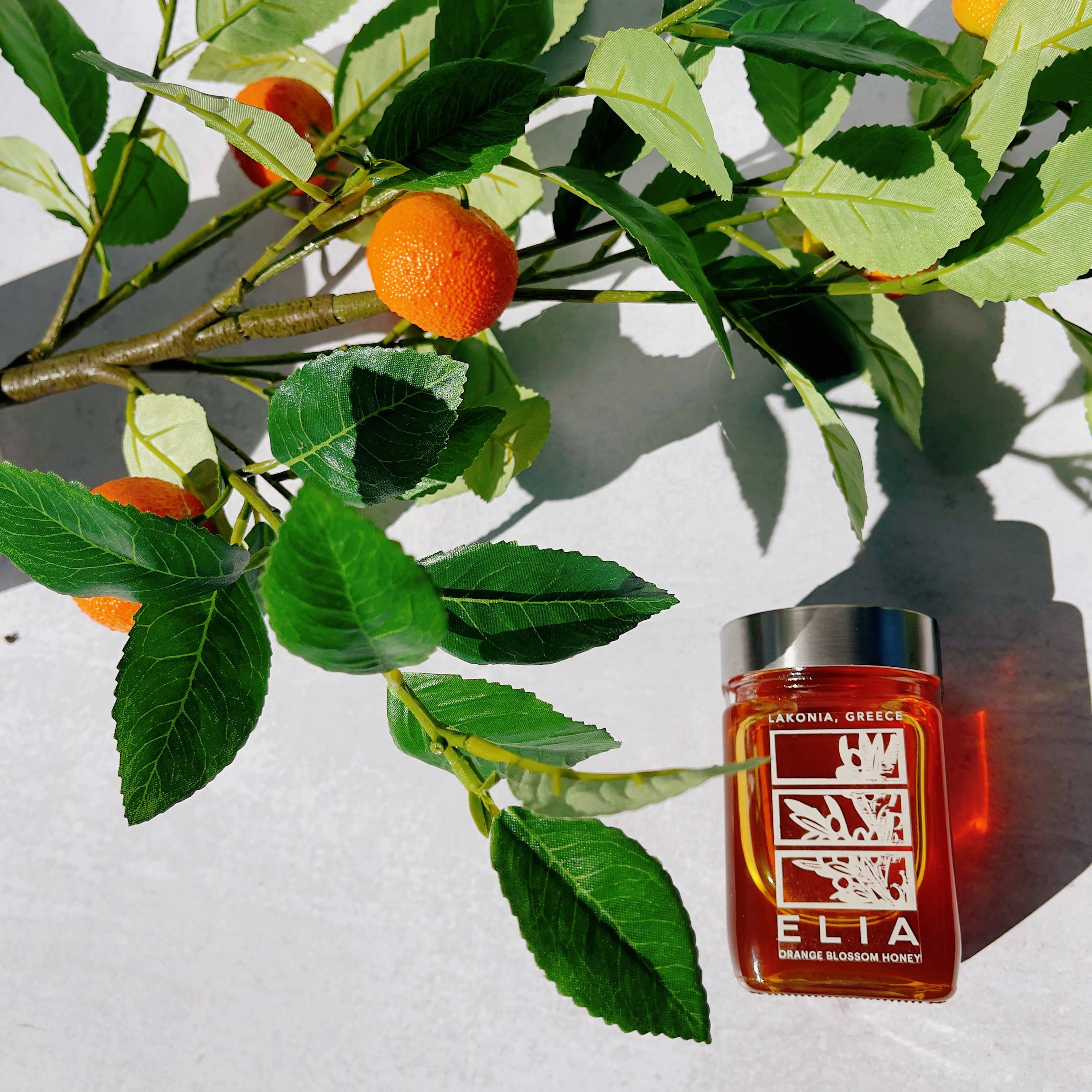 ELIA - Wholesale Honey - ELIA Greek Orange Blossom Honey (10 Oz)