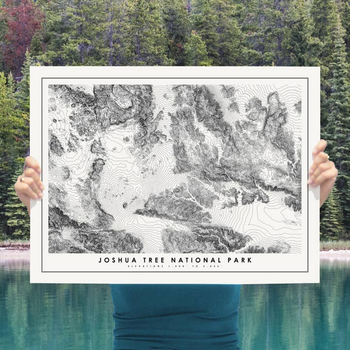 Joshua Tree Nationalpark Plakat for engroshandel hos Mr City Printing