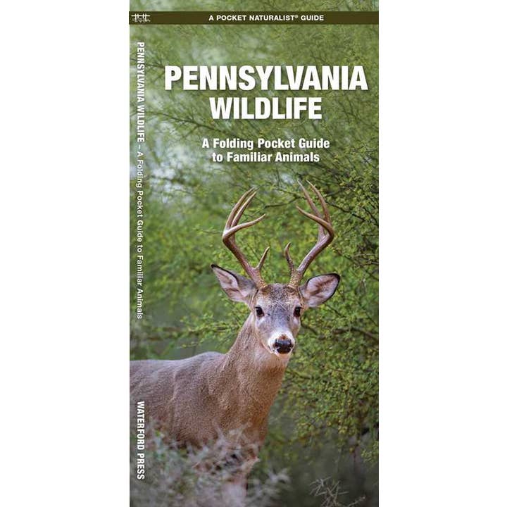 Pennsylvania Wildlife by James Kavanagh for wholesale by Simon & Schuster