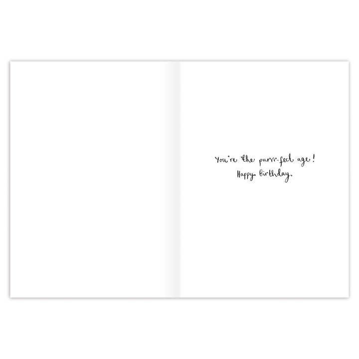 Biely & Shoaf - Wholesale Birthday Card - Cats You're How Old? Birthday Card