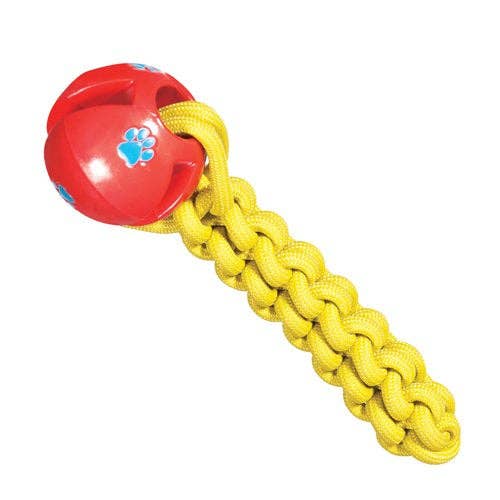 Bella Gummilegetøj Hundelegetøj Chase 'N Chomp for engroshandel hos Caitec Inc