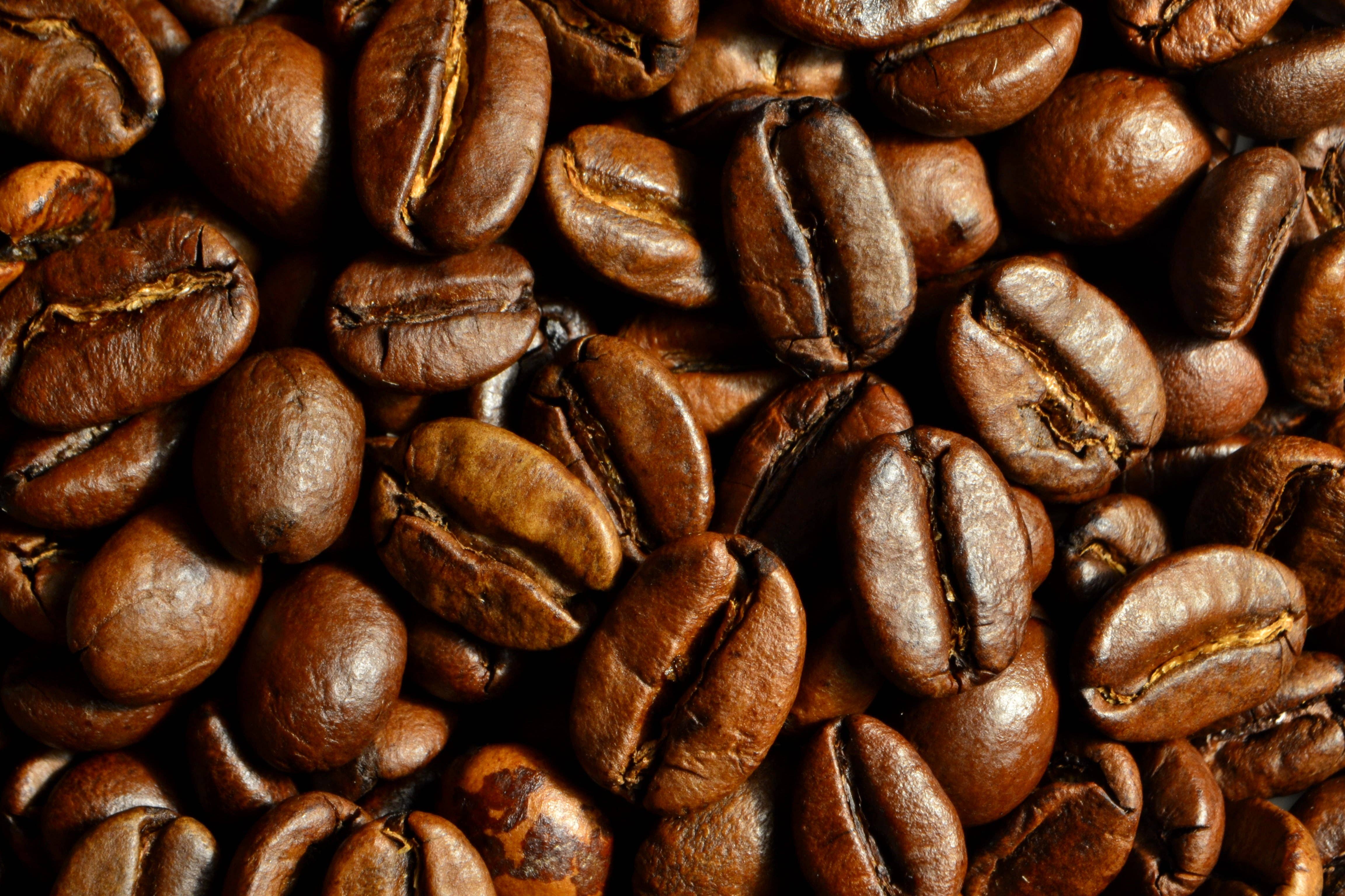 GI Joe Coffee - Wholesale Ground Coffee - The Veteran1