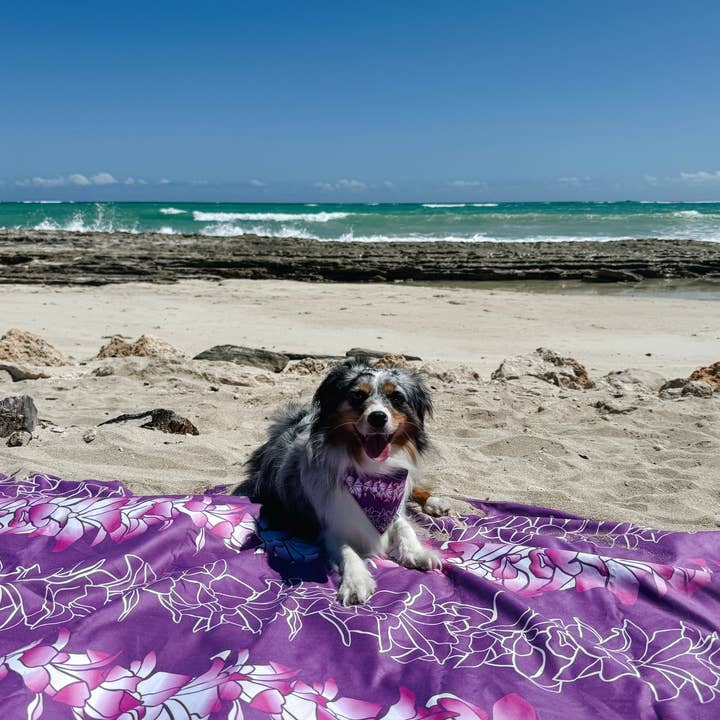 Ports and Paws – wholesale Bandana - Hund – SNABBTORKANDE BANDANA - ORKIDÉ LEI8