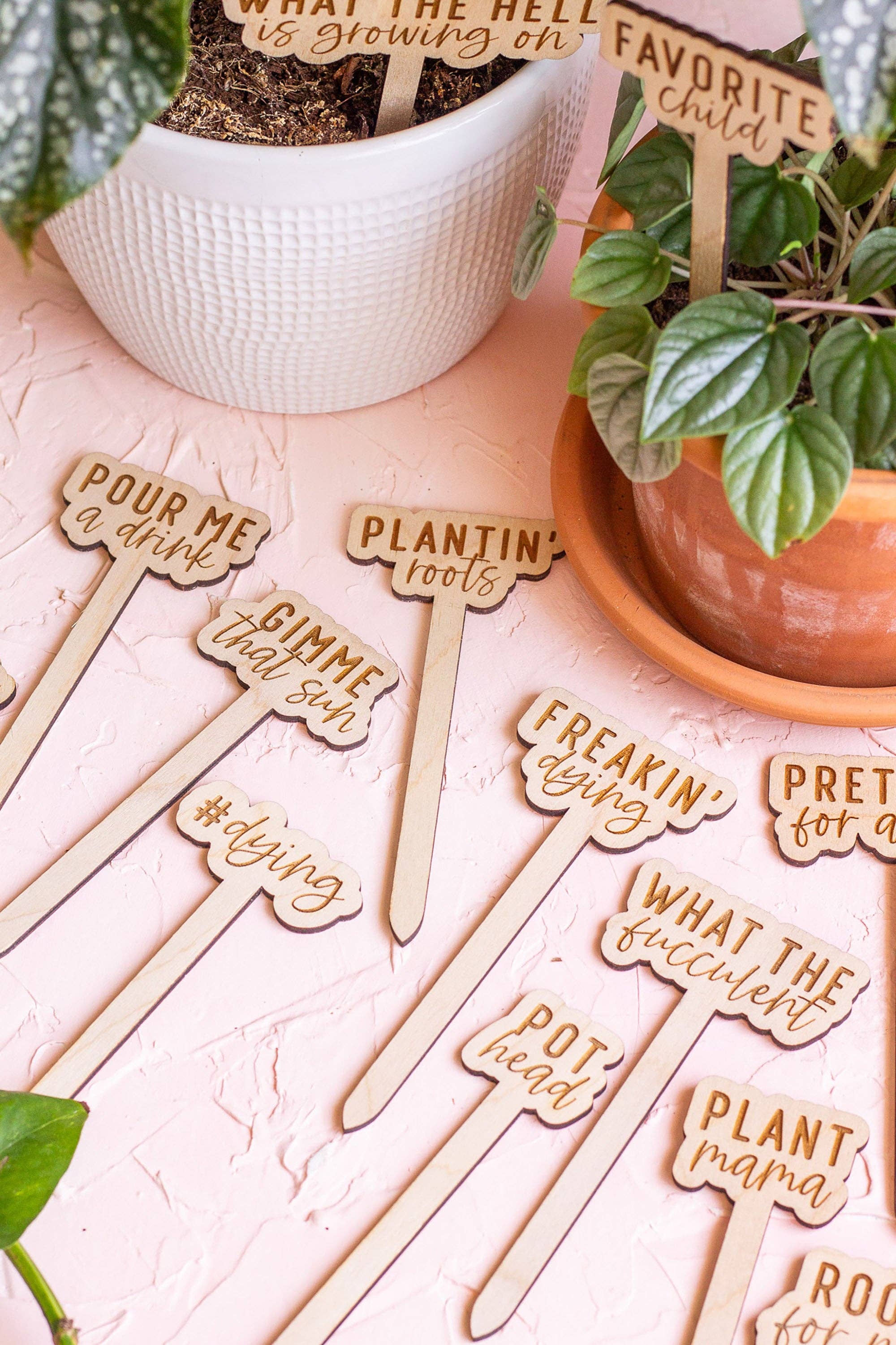 The Print Pantry - Wholesale Garden/Lawn Stake - Funny Script Wooden Plant Markers9