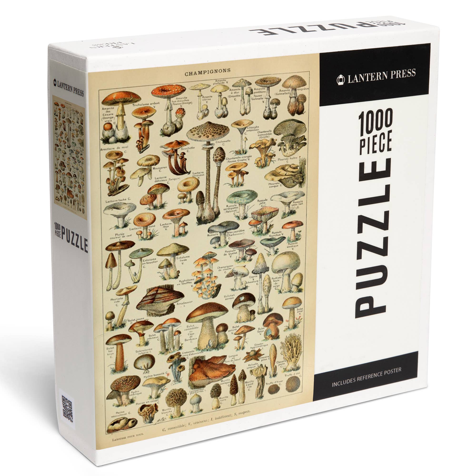 Lantern Press - Vendita all'ingrosso Puzzle - Adulti - Puzzle da 1000 pezzi, C, libris vintage, Adolph0