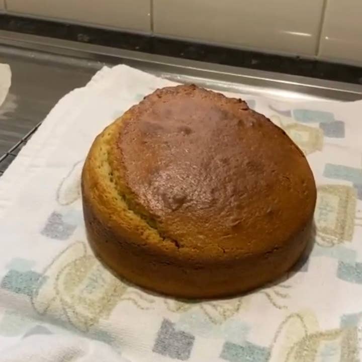 Rover Pet Products - Wholesale Pet treats – Dog - Pawty Cake2