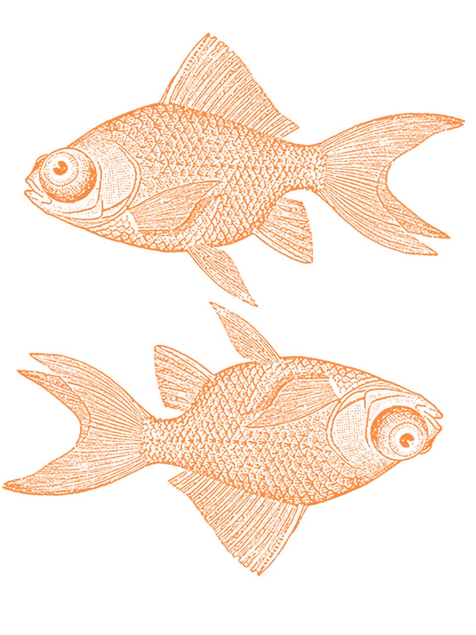 Gaspar Gou - Wholesale Screen Printed T-Shirt - Men's - Double Goldfish Charlie Tee7