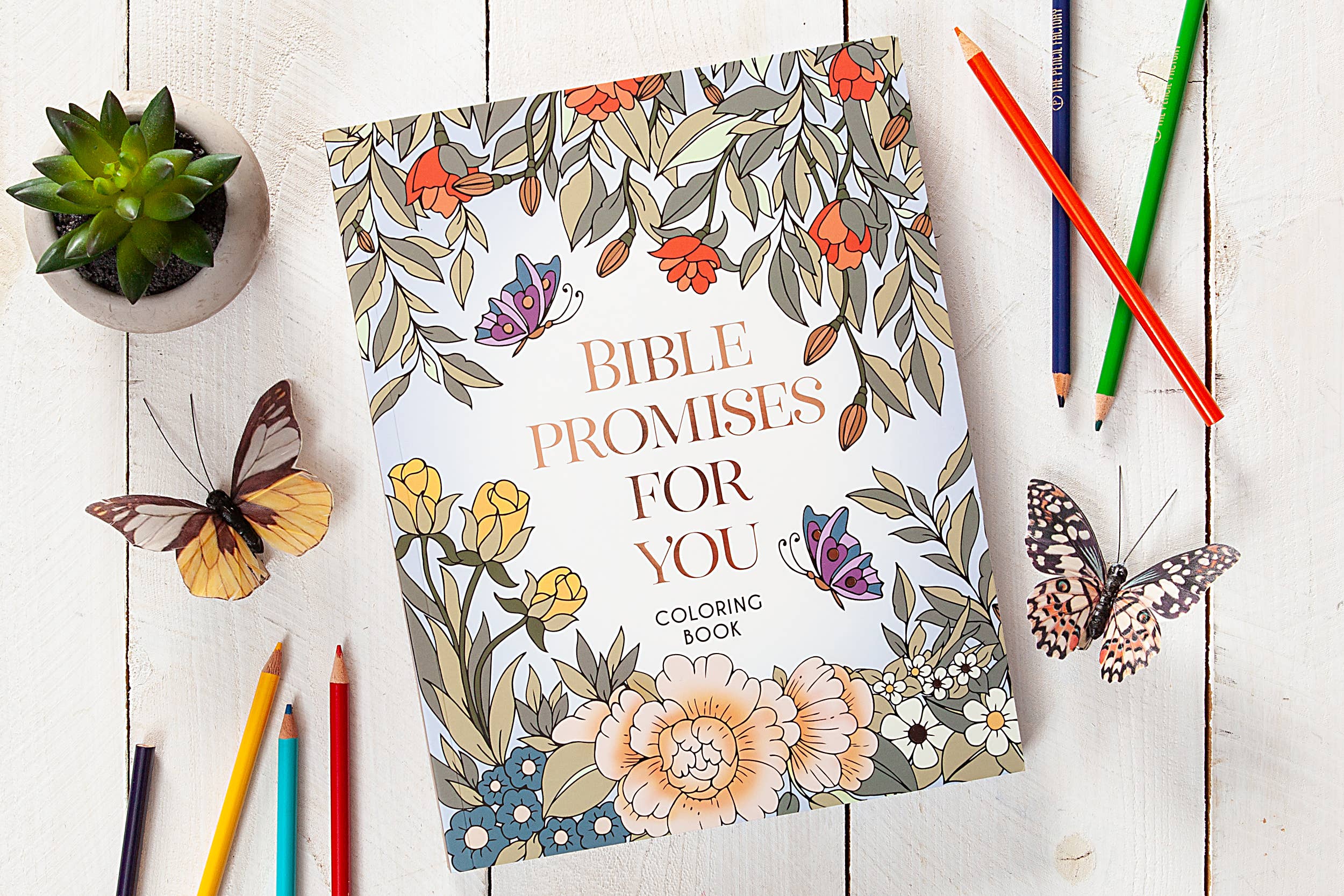 BroadStreet Publishing Group, LLC - Wholesale Colouring and activity book – adult - Bible Promises for You (Coloring Book - New Product!)