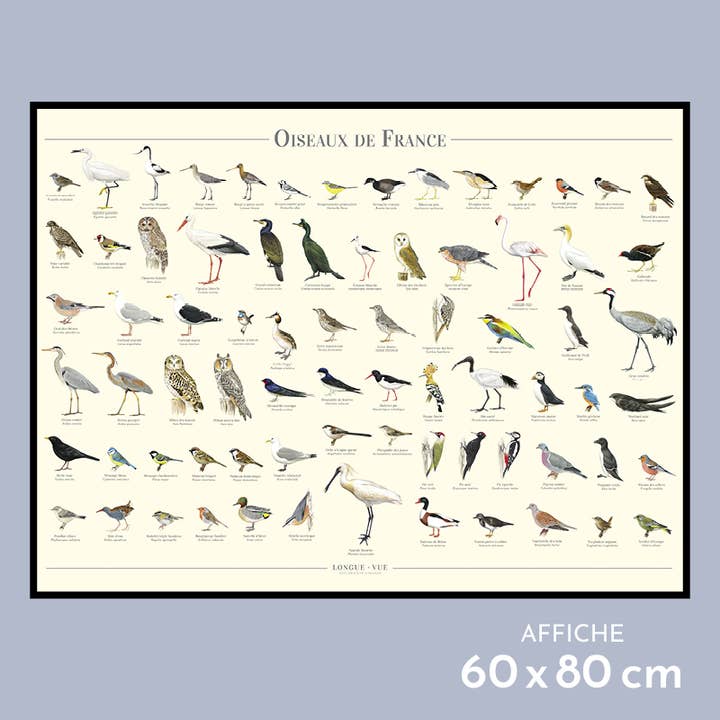 Birds of France - Poster for wholesale by Longue-vue