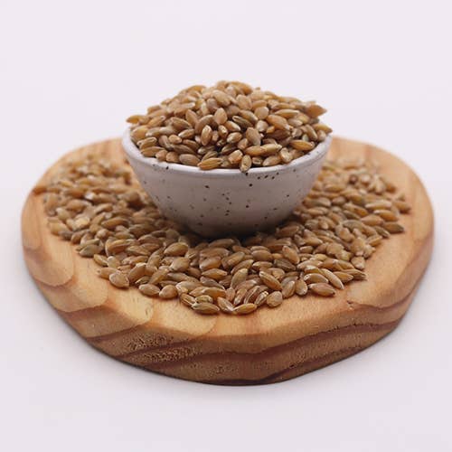 Marsh Hen Mill - Wholesale Whole Grains - Farro Piccolo 1.5 lb (12 Pack Case)4