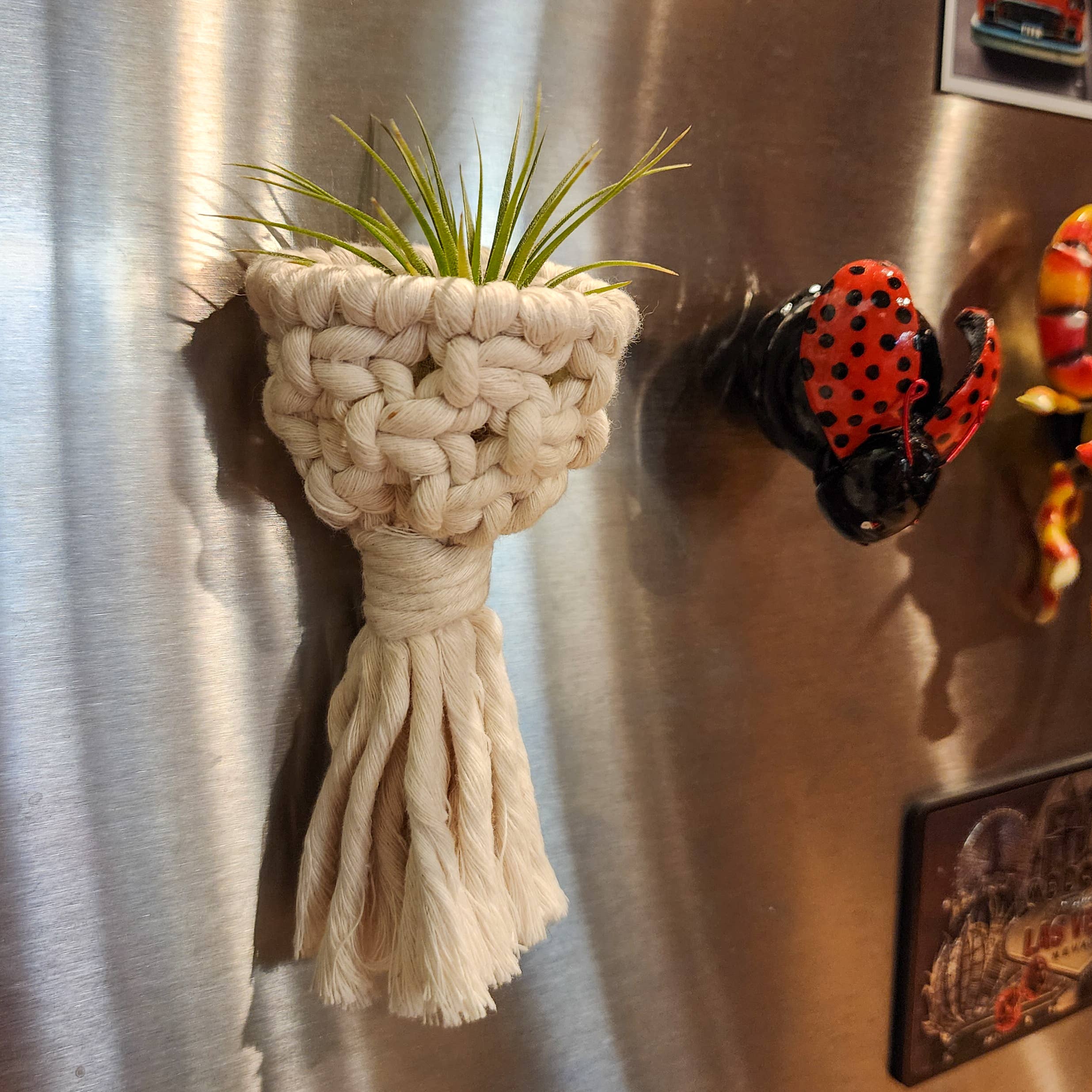 Handmade By Uruba - Vendita all'ingrosso Fioriere a sospensione - Porta Piante Aeree Magnetico per Frigorifero | Accessori per Piante Fatti a Mano3