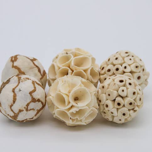 Birdology 6PK Palla, 2 Sola, 2 Crepe, 2 Cavolo per la vendita all'ingrosso da parte di Birdology