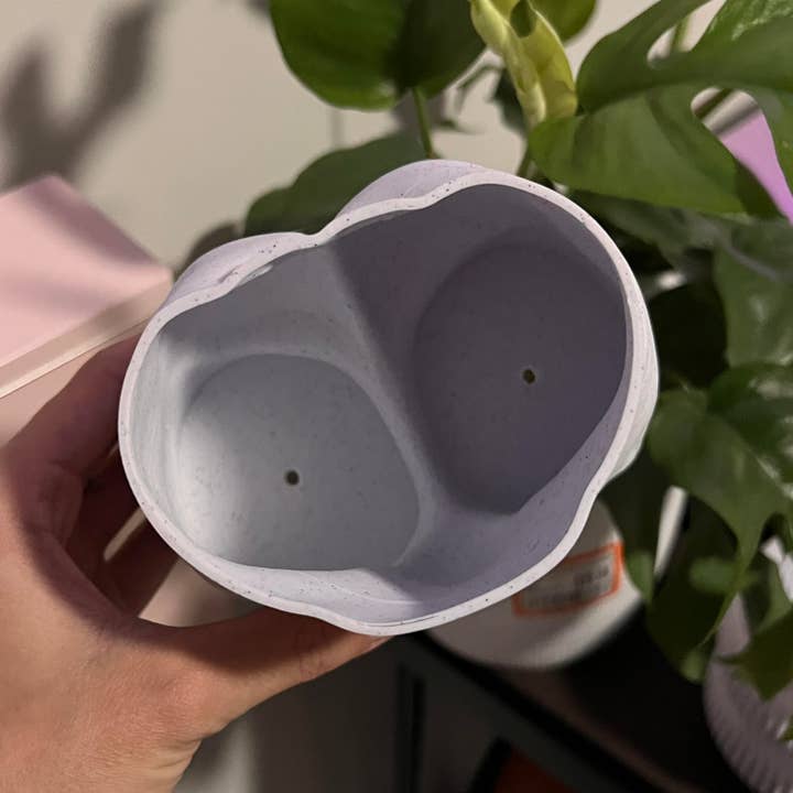 Peachy Pilea - Wholesale Plant Pot - Muscle Daddy Butt Planter | More Sizes + Colors Available2