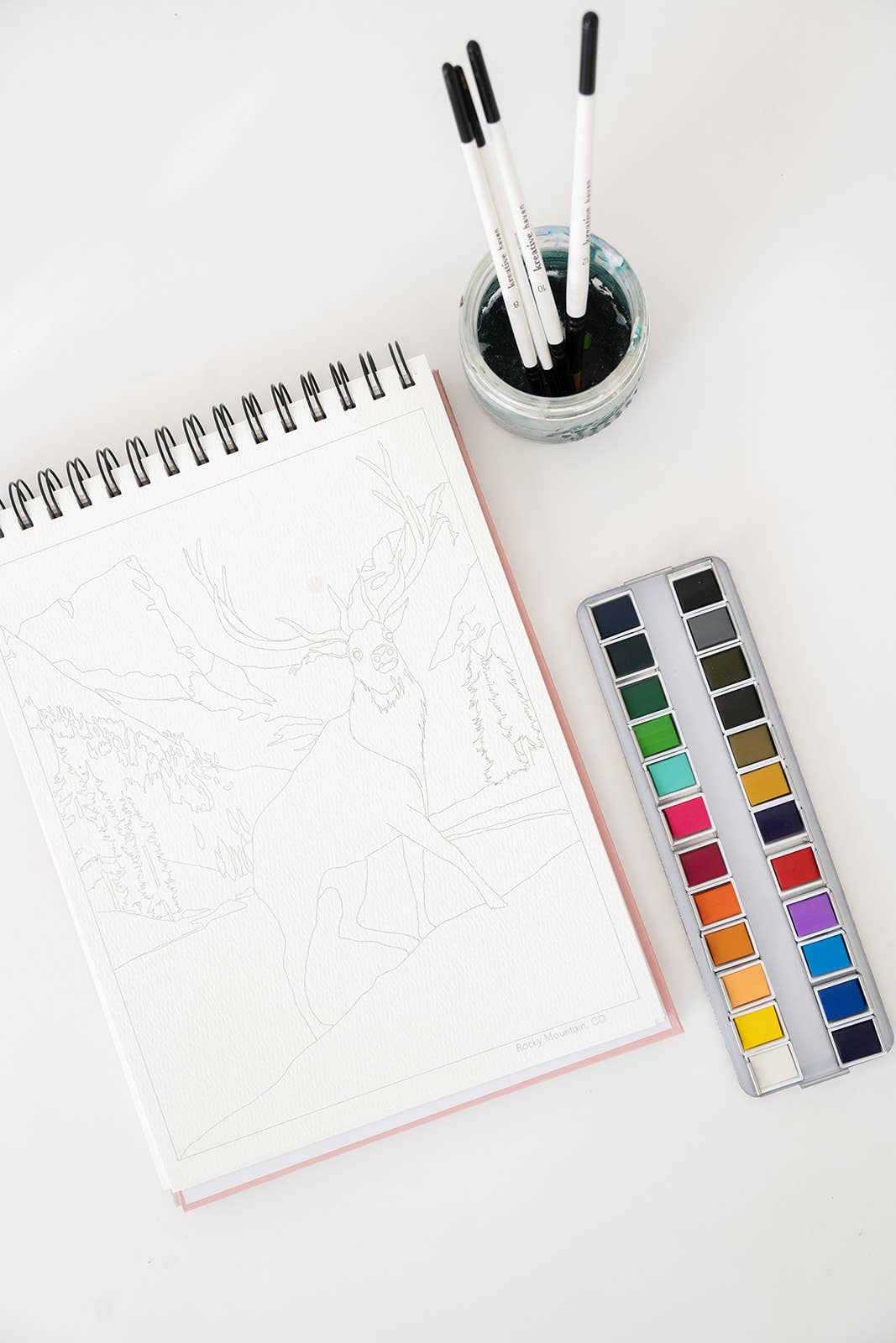 Bailey Rae Studio - Wholesale Watercolor Paint - National Parks Watercoloring Book-Outlines w/Video Tutorials15