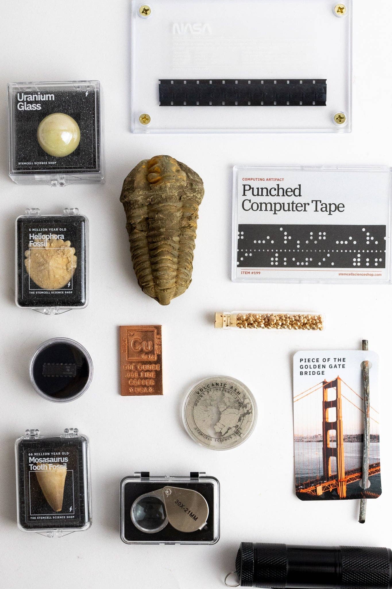 Stemcell Science Shop - Wholesale Decorative Tabletop Object - Wholesale Sample Box1