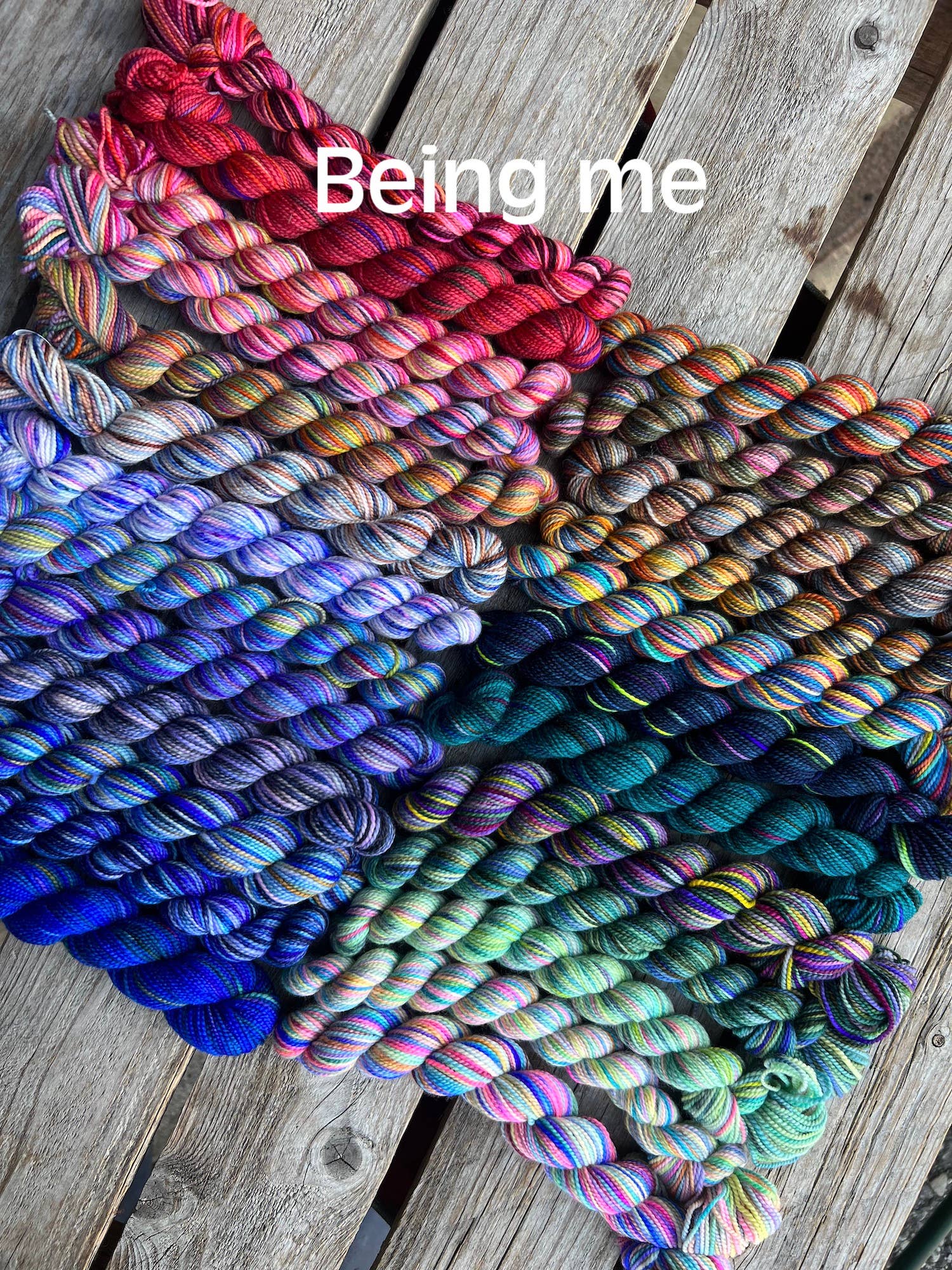 Koigu Wool Designs - Wholesale Yarn - Festive 25 day KPPPM Pencil pack18