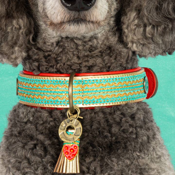 Coco Noël hundhalsband L (Halsomkrets 38-47 cm / 4 cm) för wholesale av Dog with a Mission