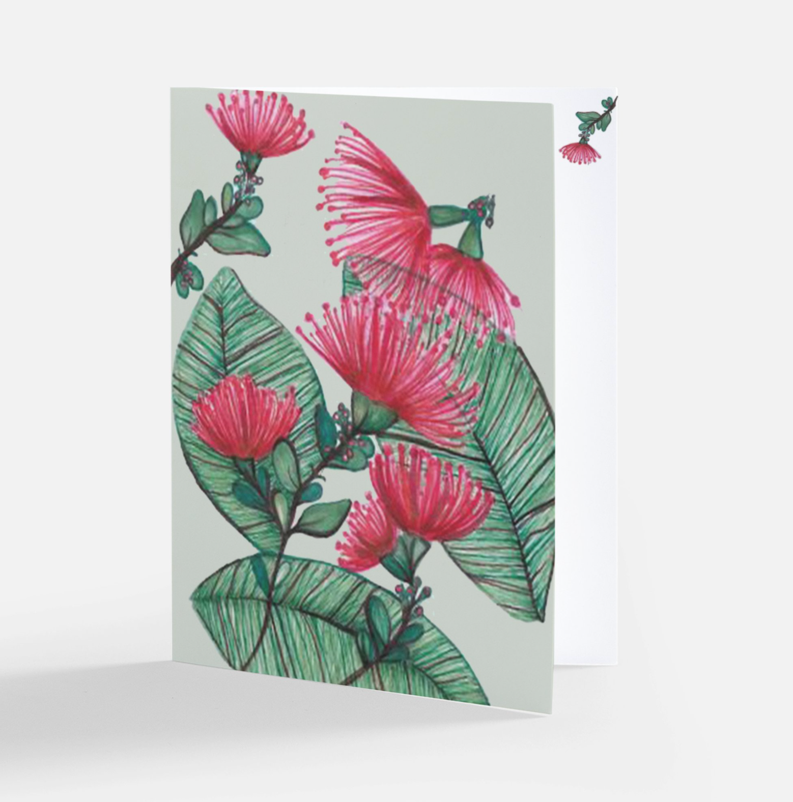 Schorrline Design - Wholesale Everyday Greeting Card - Local Hawaii Greeting Cards1