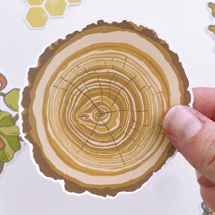 Autocollant en papier écologique Tree Ring pour la vente par Root & Branch Paper Co.