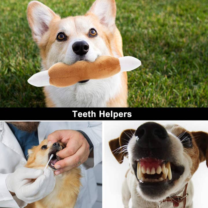 Nocciola - Wholesale Pet Squeaky Toy - Dog - Nocciola 12 Pack Dog Squeaky Toys for Small Medium Dog| Carry Bag2