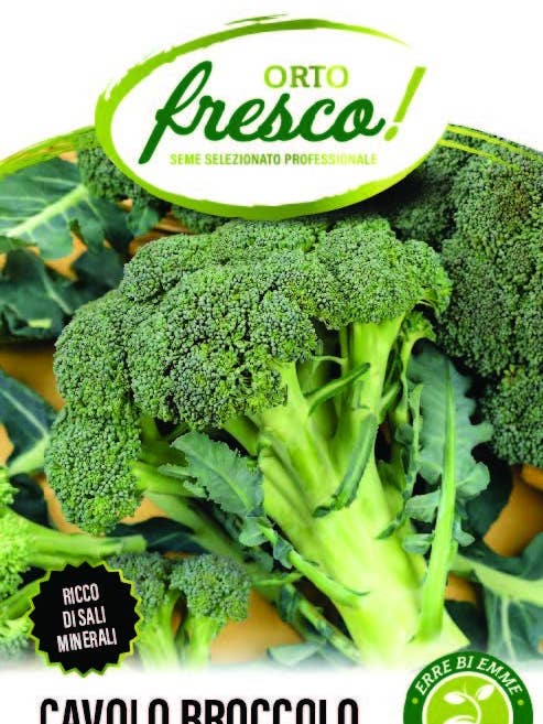 Late Calabrese Sprouting Broccoli for wholesale by Sementi & Barbatelle